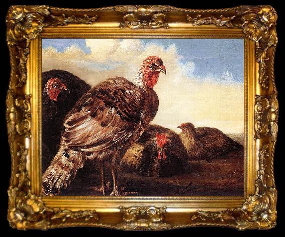 framed  CUYP, Aelbert Domestic Fowl, ta009-2